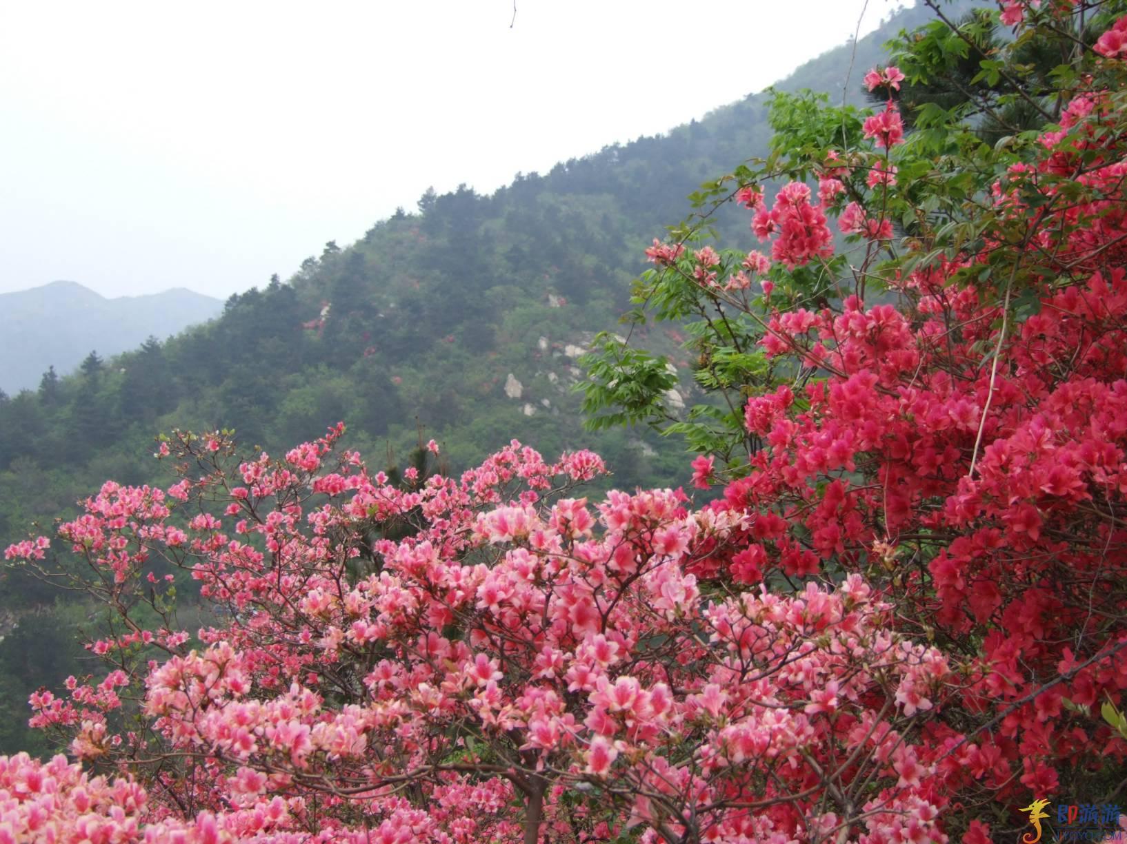 户外拓展培训基地—云雾山