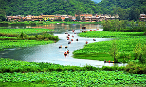 田田军事教育基地